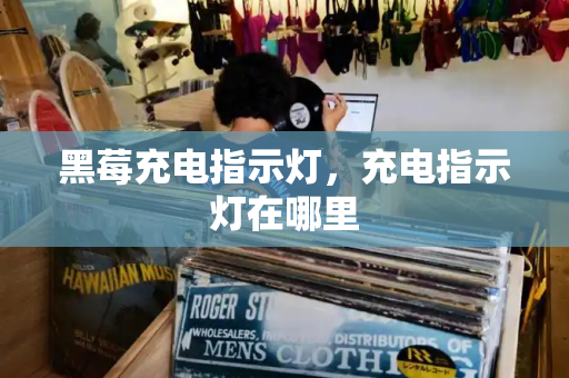黑莓充电指示灯，充电指示灯在哪里