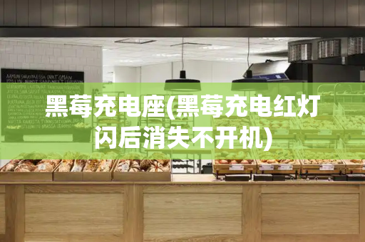 黑莓充电座(黑莓充电红灯闪后消失不开机)