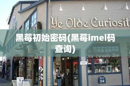 黑莓初始密码(黑莓imei码查询)-第1张图片-星选测评
