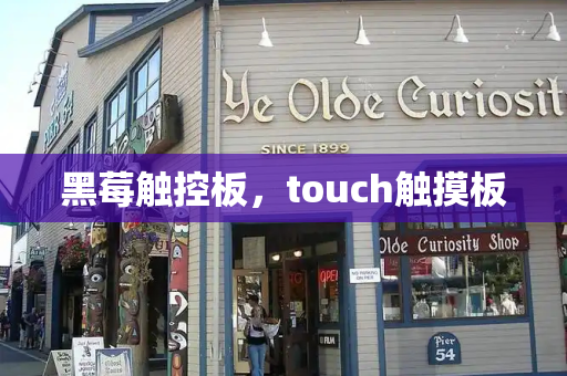 黑莓触控板，touch触摸板-第1张图片-星选测评