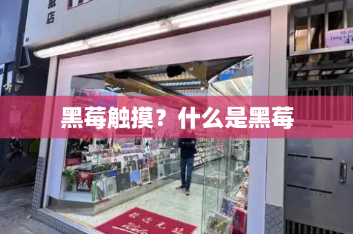 黑莓触摸？什么是黑莓