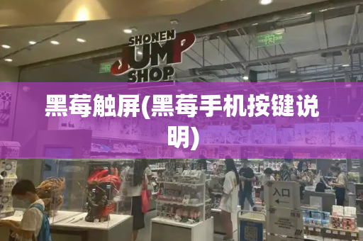 黑莓触屏(黑莓手机按键说明)