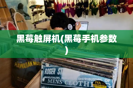 黑莓触屏机(黑莓手机参数)