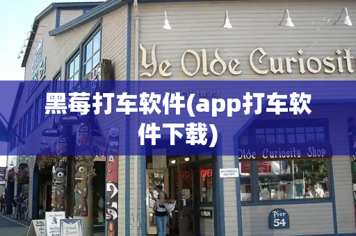 黑莓打车软件(app打车软件下载)