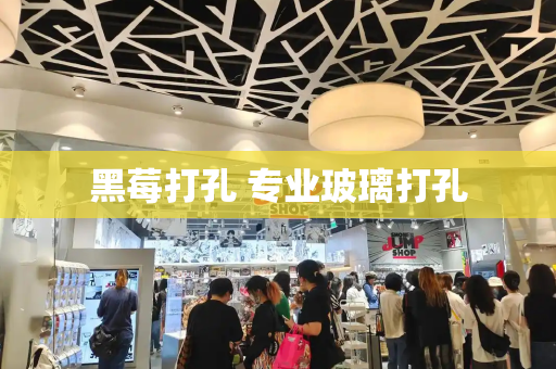 黑莓打孔 专业玻璃打孔