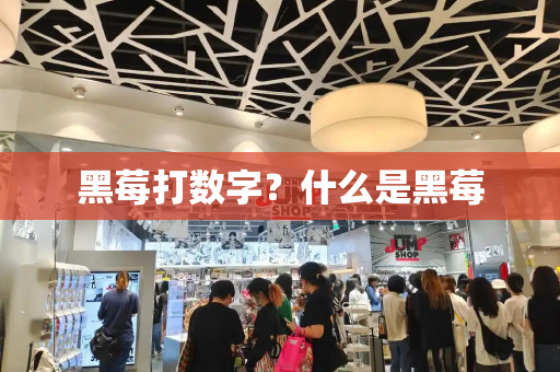 黑莓打数字？什么是黑莓