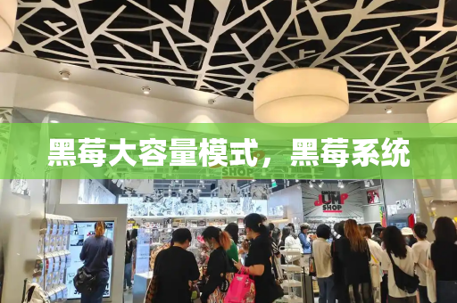 黑莓大容量模式，黑莓系统