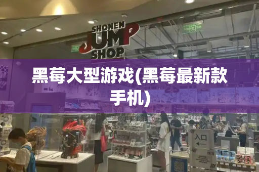 黑莓大型游戏(黑莓最新款手机)