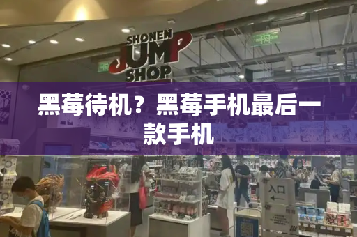 黑莓待机？黑莓手机最后一款手机-第1张图片-星选测评
