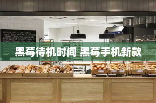 黑莓待机时间 黑莓手机新款