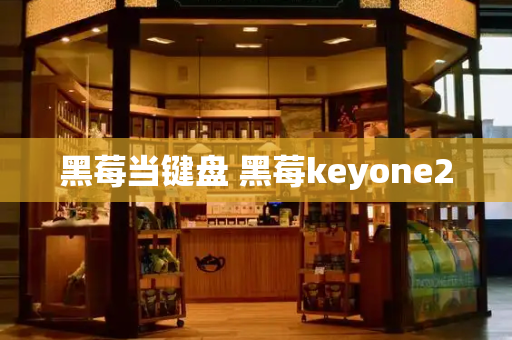 黑莓当键盘 黑莓keyone2