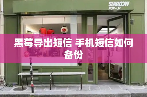 黑莓导出短信 手机短信如何备份