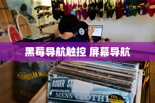黑莓导航触控 屏幕导航