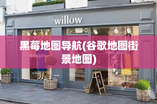 黑莓地图导航(谷歌地图街景地图)