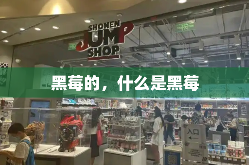 黑莓的，什么是黑莓-第1张图片-星选测评