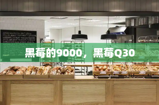 黑莓的9000，黑莓Q30-第1张图片-星选测评
