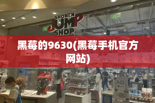 黑莓的9630(黑莓手机官方网站)-第1张图片-星选测评