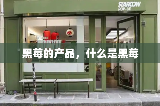 黑莓的产品，什么是黑莓-第1张图片-星选测评