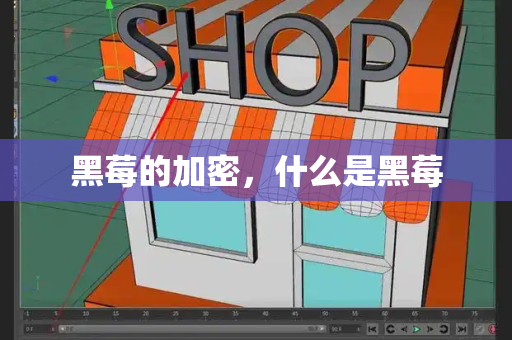 黑莓的加密，什么是黑莓