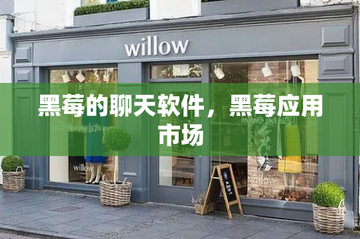黑莓的聊天软件，黑莓应用市场-第1张图片-星选测评