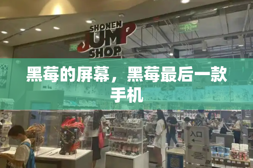 黑莓的屏幕，黑莓最后一款手机-第1张图片-星选测评