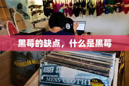 黑莓的缺点，什么是黑莓-第1张图片-星选测评