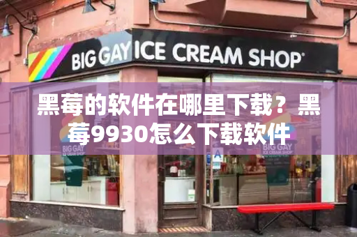 黑莓的软件在哪里下载？黑莓9930怎么下载软件