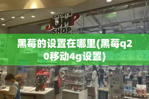 黑莓的设置在哪里(黑莓q20移动4g设置)