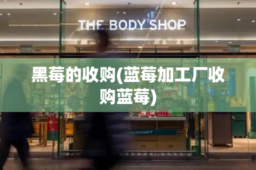黑莓的收购(蓝莓加工厂收购蓝莓)-第1张图片-星选测评