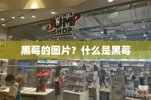 黑莓的图片？什么是黑莓