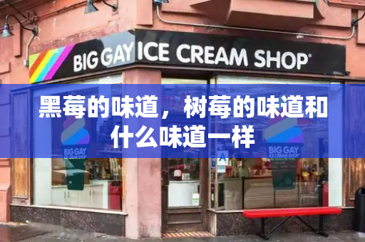 黑莓的味道，树莓的味道和什么味道一样