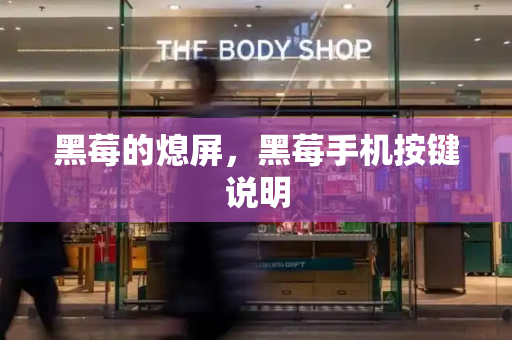 黑莓的熄屏，黑莓手机按键说明-第1张图片-星选测评