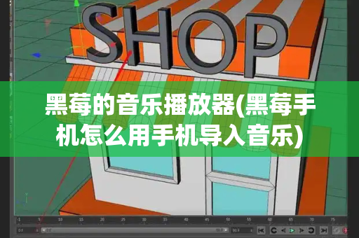 黑莓的音乐播放器(黑莓手机怎么用手机导入音乐)