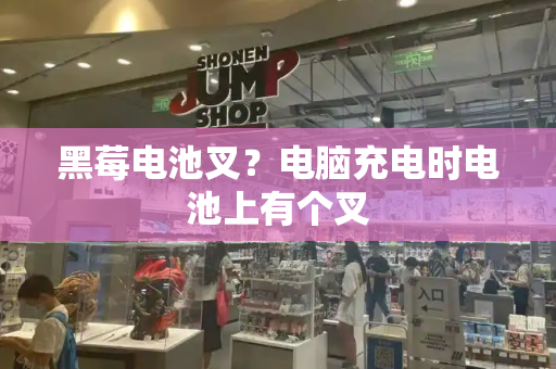 黑莓电池叉？电脑充电时电池上有个叉-第1张图片-星选测评