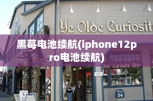 黑莓电池续航(iphone12pro电池续航)-第1张图片-星选测评