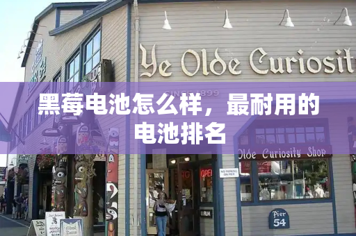 黑莓电池怎么样，最耐用的电池排名