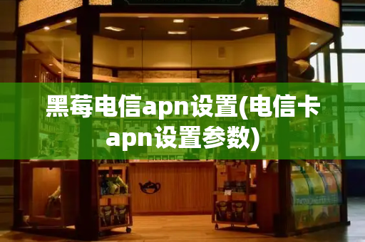 黑莓电信apn设置(电信卡apn设置参数)