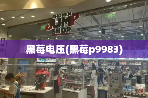 黑莓电压(黑莓p9983)
