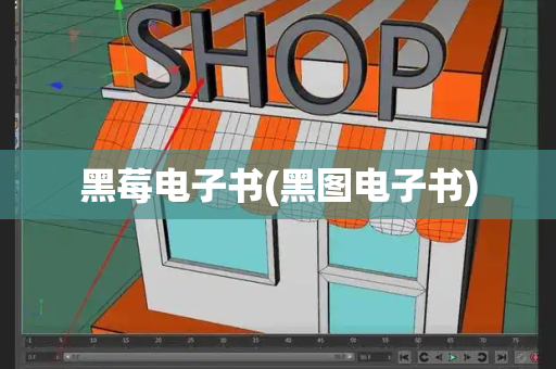 黑莓电子书(黑图电子书)-第1张图片-星选测评