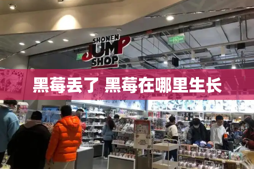 黑莓丢了 黑莓在哪里生长-第1张图片-星选测评