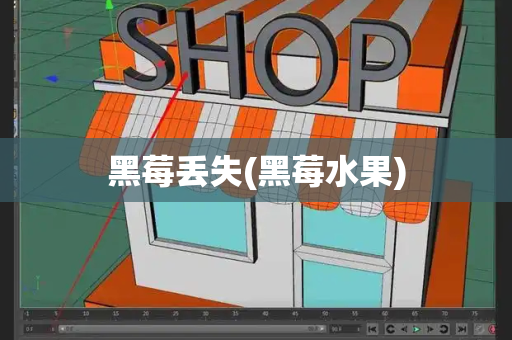 黑莓丢失(黑莓水果)