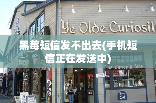 黑莓短信发不出去(手机短信正在发送中)