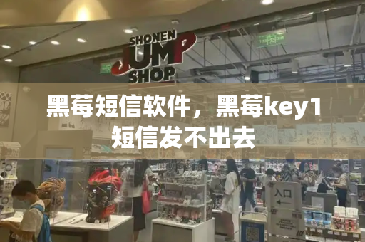 黑莓短信软件，黑莓key1短信发不出去-第1张图片-星选测评