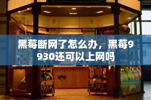 黑莓断网了怎么办，黑莓9930还可以上网吗