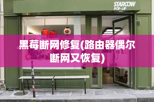 黑莓断网修复(路由器偶尔断网又恢复)