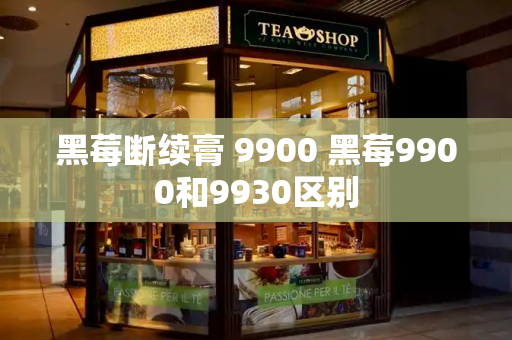 黑莓断续膏 9900 黑莓9900和9930区别