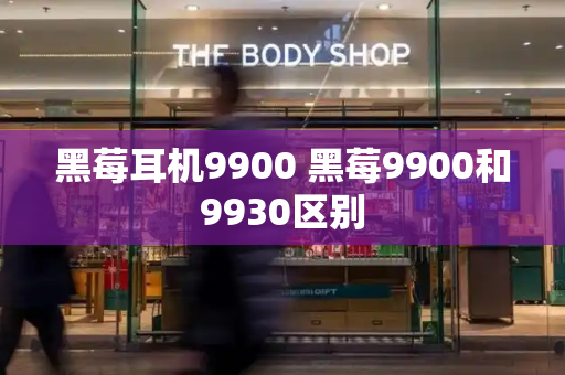 黑莓耳机9900 黑莓9900和9930区别