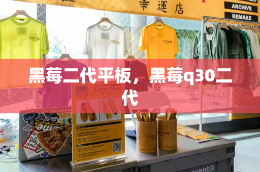 黑莓二代平板，黑莓q30二代