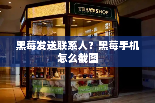 黑莓发送联系人？黑莓手机怎么截图-第1张图片-星选测评