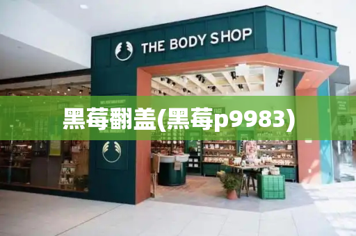黑莓翻盖(黑莓p9983)